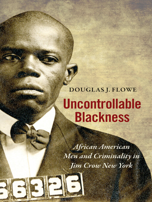 Title details for Uncontrollable Blackness by Douglas J. Flowe - Available